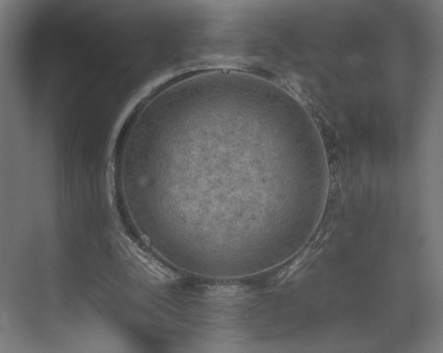 X0000074970342200609011221