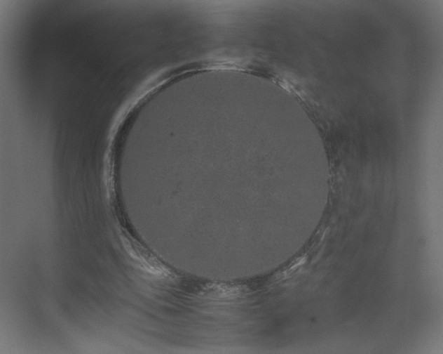 X0000074970343200609011221