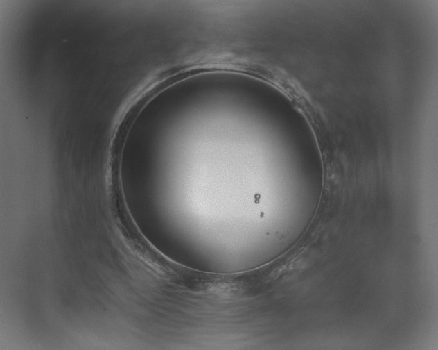 X0000074970344200609011221