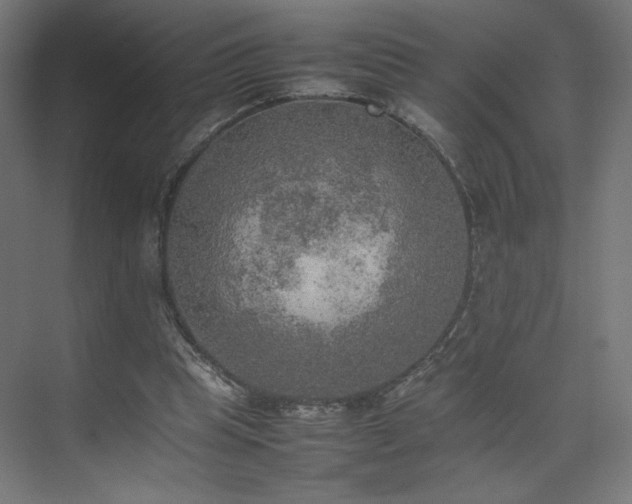 X0000074970345200609011221