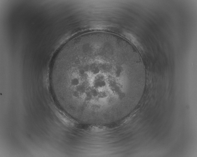 X0000074970346200609011221