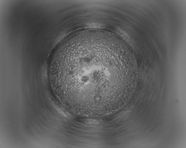 X0000074970347200609011221