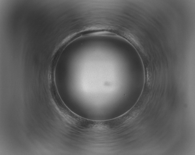 X0000074970348200609011221