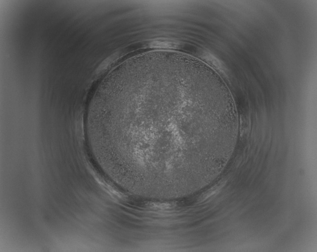 X0000074970349200609011222