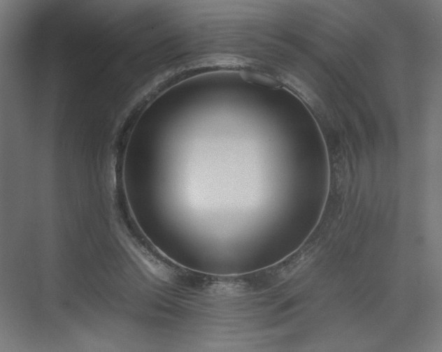 X0000074970350200609011222