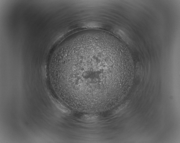 X0000074970351200609011222