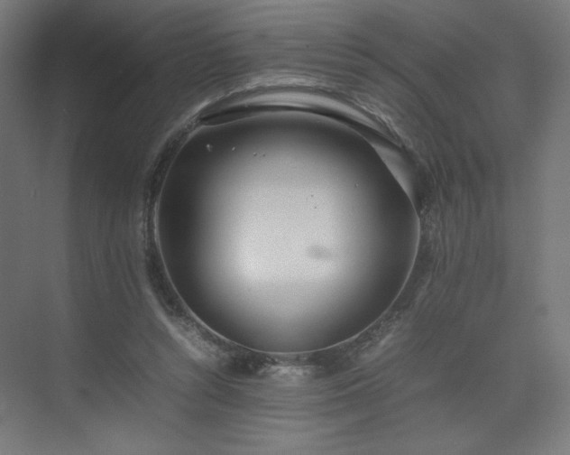 X0000074970352200609011222