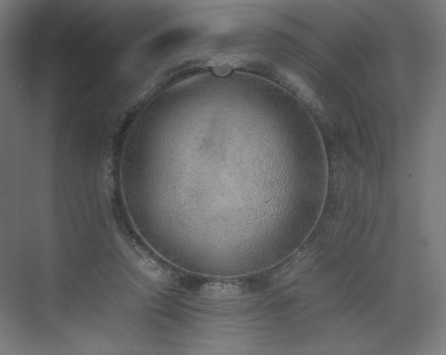 X0000074970354200609011222