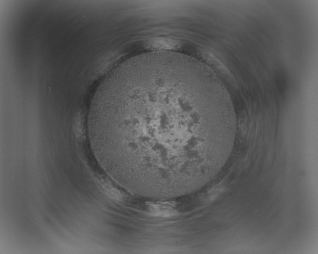 X0000074970359200609011222