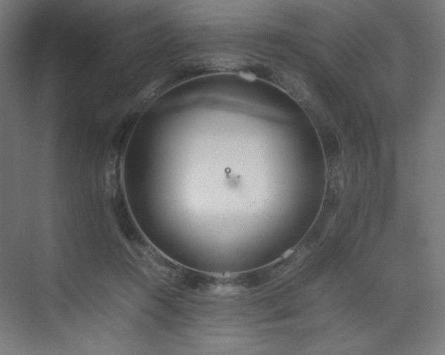 X0000074970360200609011222