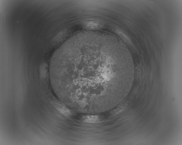 X0000074970361200609011222