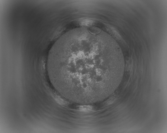 X0000074970363200609011222