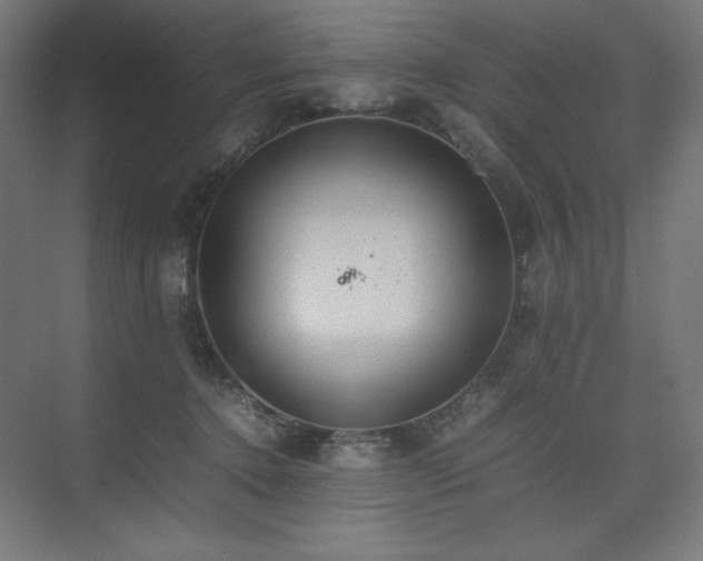 X0000074970368200609011222