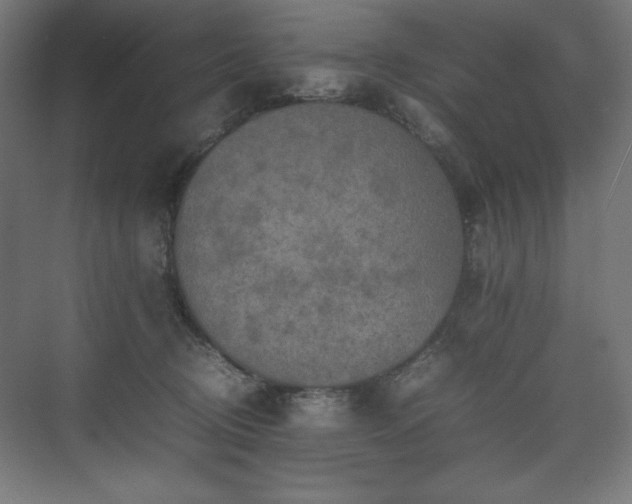 X0000074970370200609011222