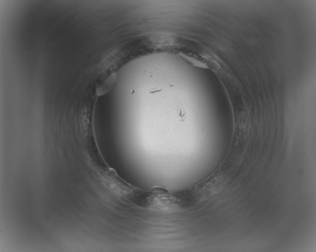 X0000074970372200609011222