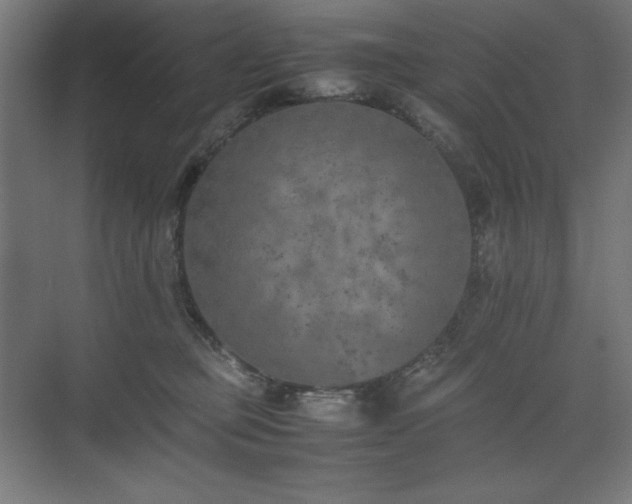 X0000074970373200609011222