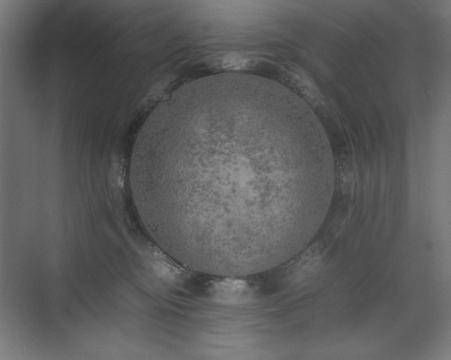 X0000074970374200609011222