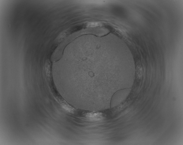 X0000074970375200609011222