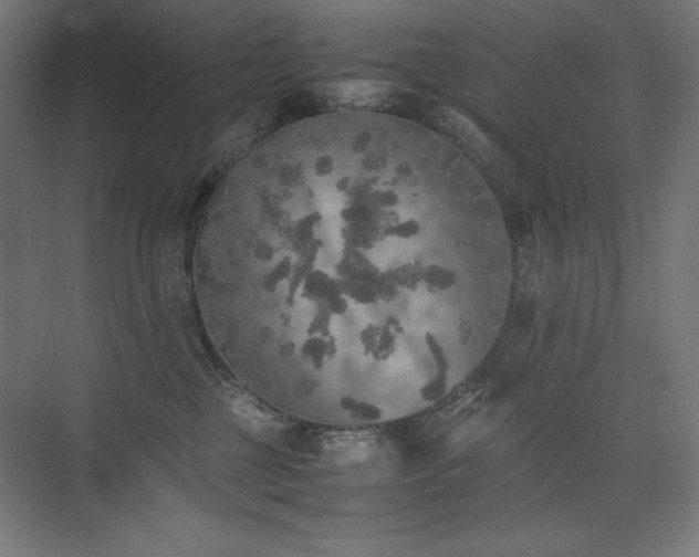 X0000074970377200609011222