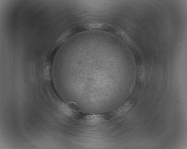 X0000074970378200609011222