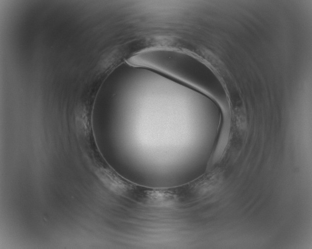 X0000074970380200609011222