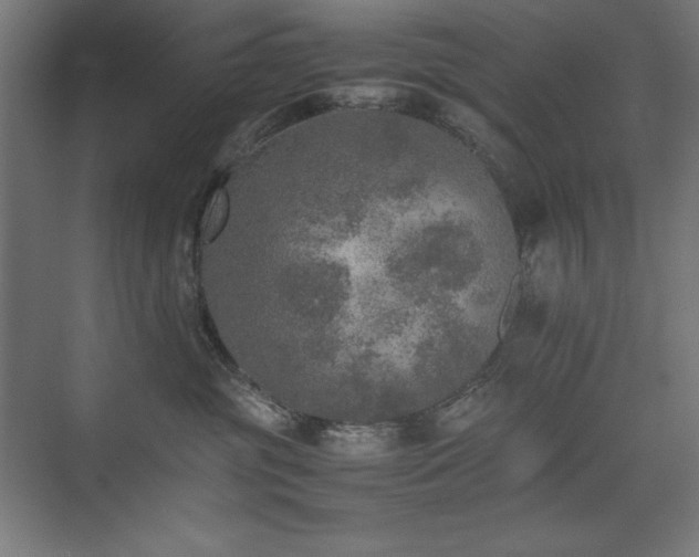 X0000074970381200609011222