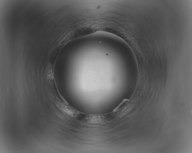 X0000074970384200609011222