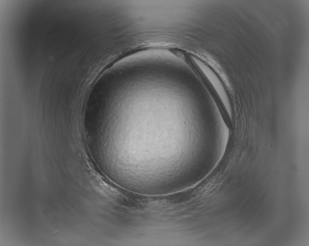 X0000074970385200609011221