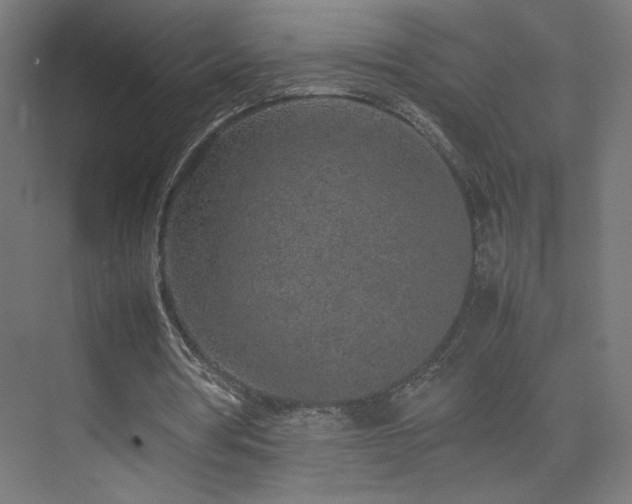 X0000074970386200609011221