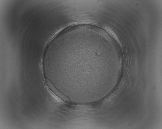 X0000074970389200609011221