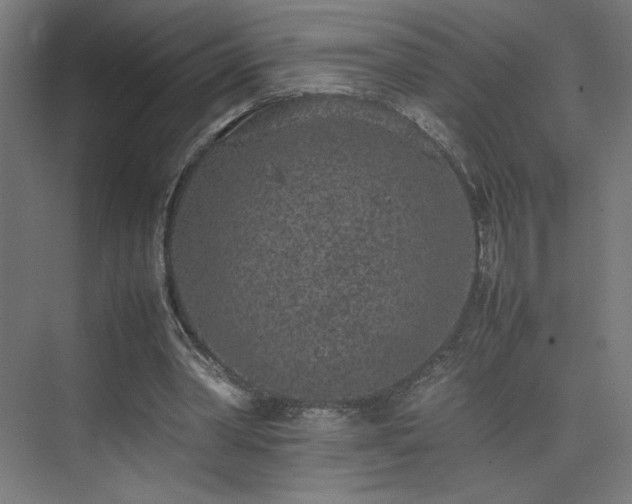 X0000074970390200609011221