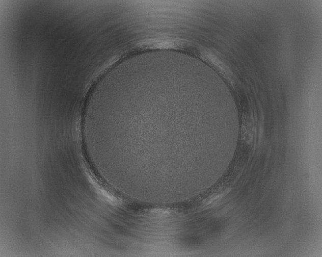 X0000074970394200609011221