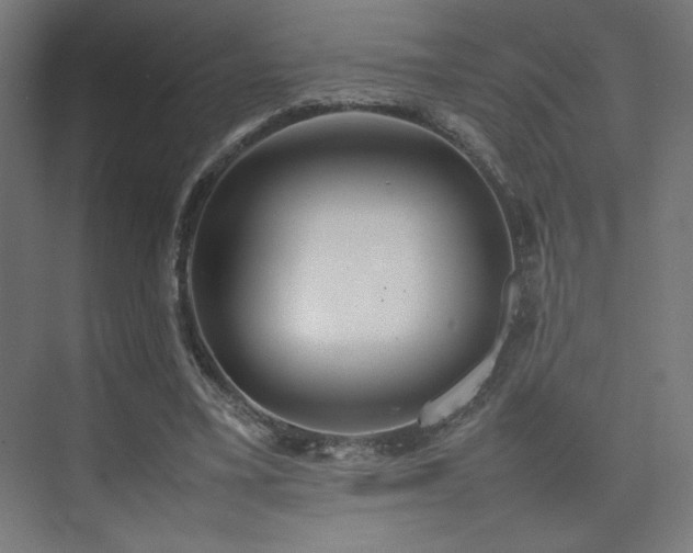 X0000074970395200609011221