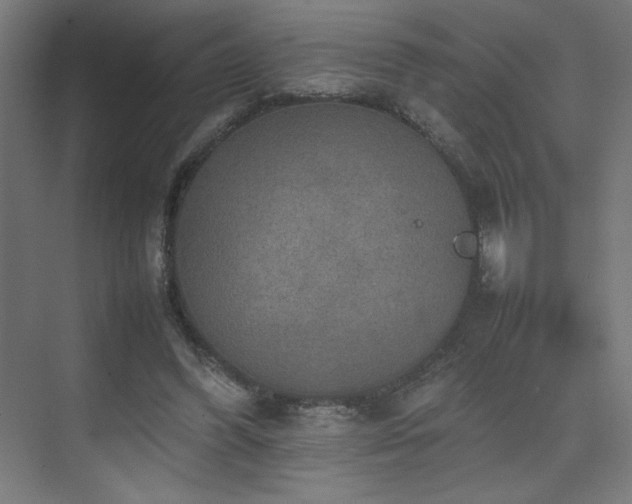 X0000074970396200609011221