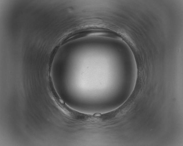 X0000074970397200609011221