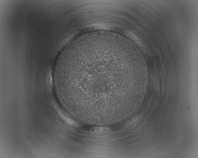 X0000074970398200609011221