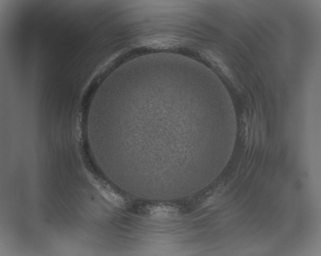 X0000074970400200609011221