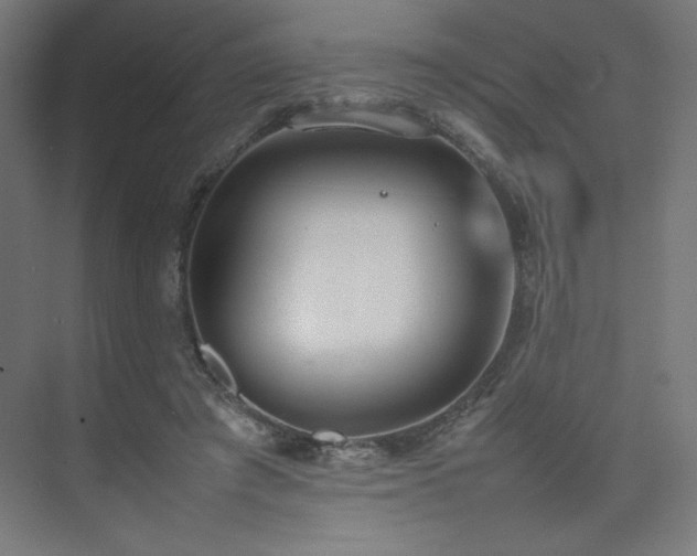 X0000074970401200609011221