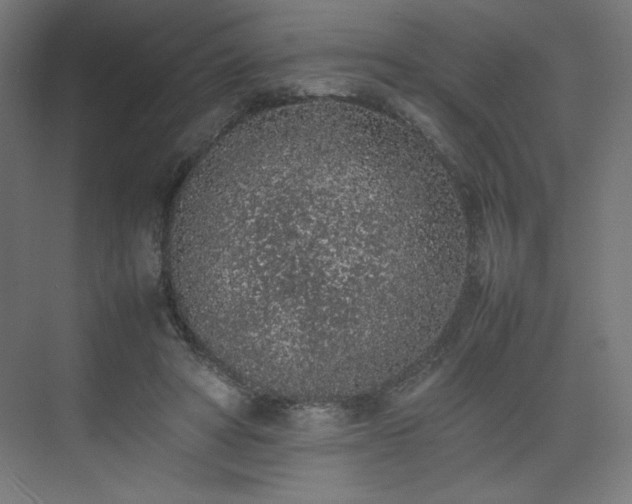 X0000074970402200609011221