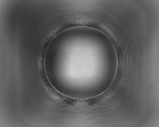 X0000074970403200609011221