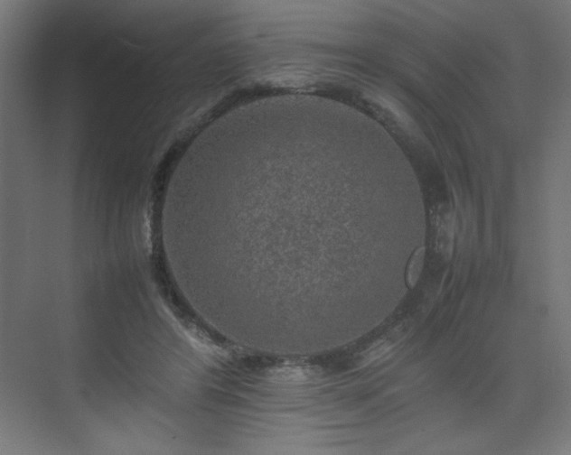 X0000074970404200609011221