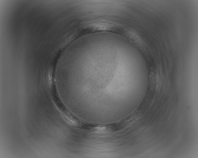 X0000074970406200609011221