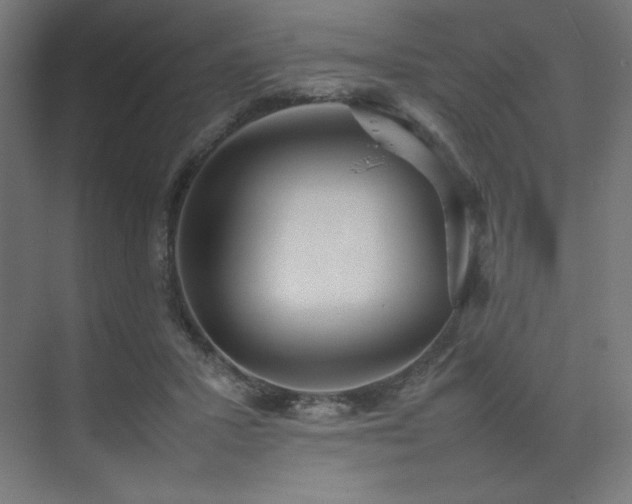 X0000074970407200609011221