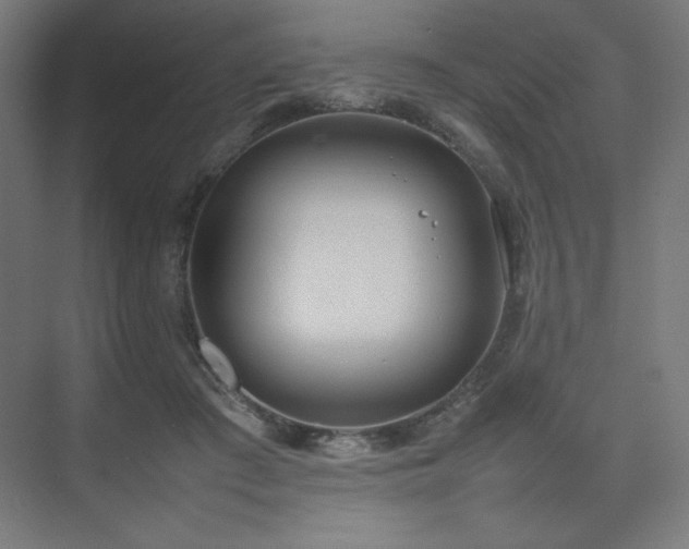 X0000074970409200609011221