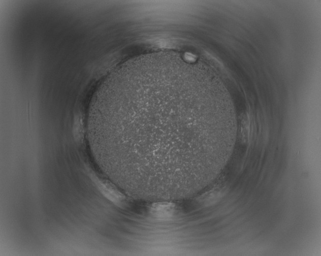 X0000074970410200609011221