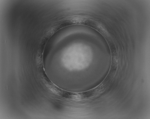 X0000074970411200609011221