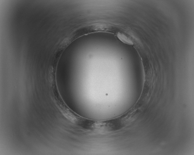 X0000074970413200609011221