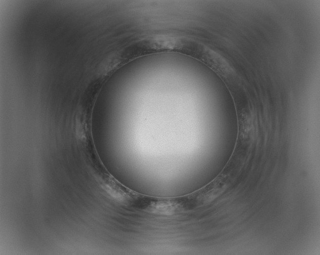 X0000074970414200609011221