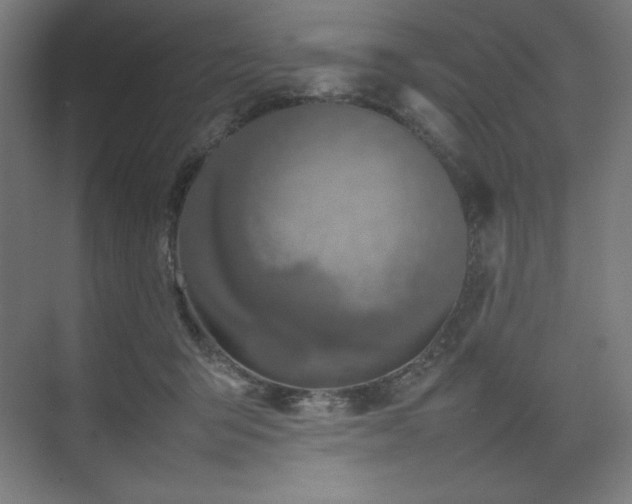 X0000074970415200609011221