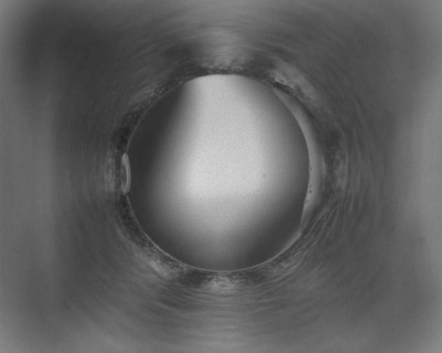 X0000074970416200609011221